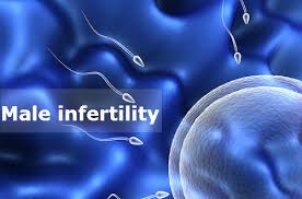 Male Infertility Treatment