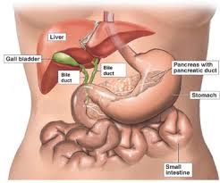 Gallbladder Cancer Treatment