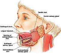 Head and Neck Cancer Treatment