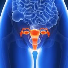 Uterine Cancer Treatment