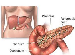 Gallbladder Cancer Treatment