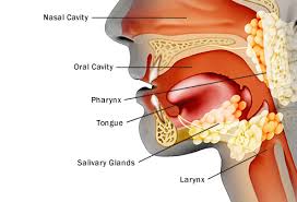 Head and Neck Cancer Treatment