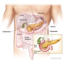 Pancreatic Cancer Treatment