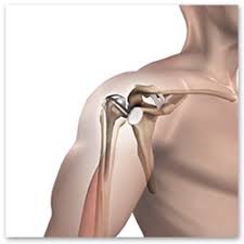 Shoulder Joint Replacement Surgery