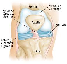 Knee Arthroscopy Surgery