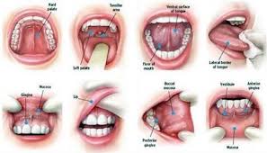 Oral Cancer Treatment