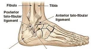 Ligaments Repair Surgery