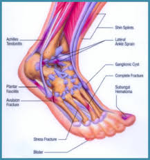 Ligaments Repair Surgery