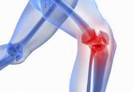 Meniscus Repair Surgery