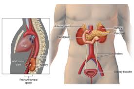 Renal Failure Treatment